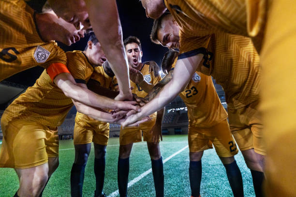 在狼隊效力 在狼隊效力